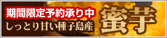 �y�y�V�s��z�������߃X�E�B�[�c ����