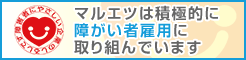 �����J���ȁw��Q�Ҍٗp�D�Ǌ�Ɓx�̔F�؎擾