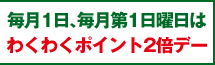 ����1���A������1���j���͂킭�킭�|�C���g2�{�f�[