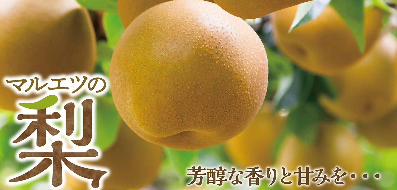 マルエツの梨 宅配予約承り中 マルエツ