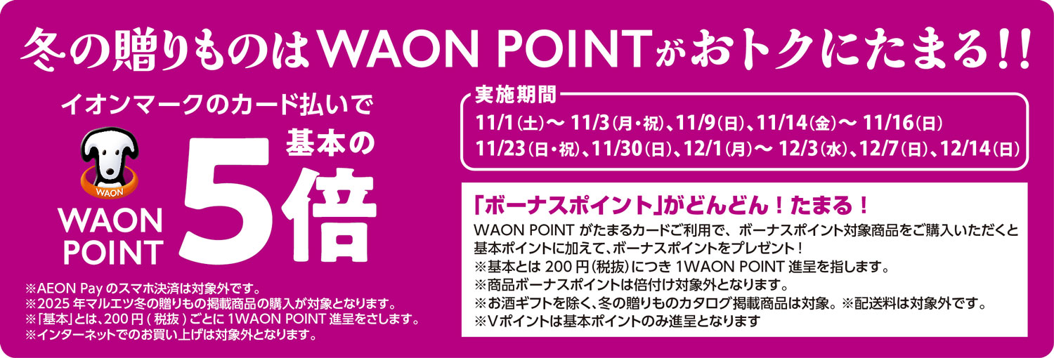 冬の贈りものはWAON ポイントがおトクにたまる！
