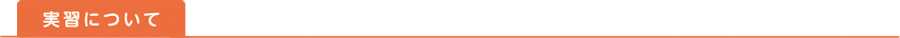 実習について