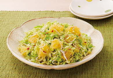 春キャベツとしらすのコールスロー